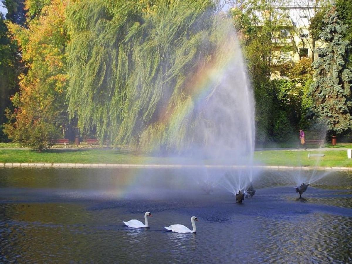 Apartamenty Centrum Panoramiczna Mala Dwojka Swan Labedz Promenada Klimatyzacja Lodowa เคียลเซ ภายนอก รูปภาพ